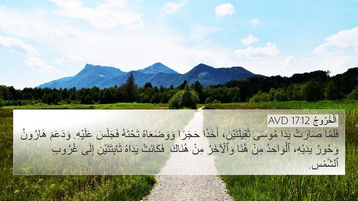 اَلْخُرُوجُ 17:12 AVD Bible Verse Image