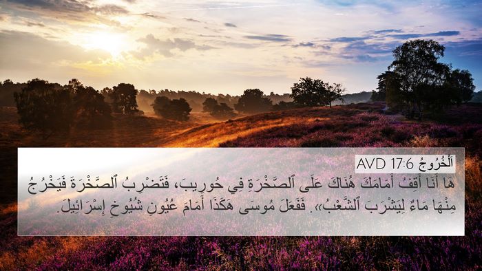 اَلْخُرُوجُ 17:6 AVD Bible Verse Image