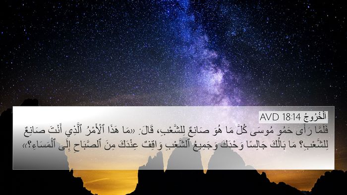 اَلْخُرُوجُ 18:14 AVD 4K Wallpaper - فَلَمَّا رَأَى حَمُو - 4K Wallpaper Bible Verse