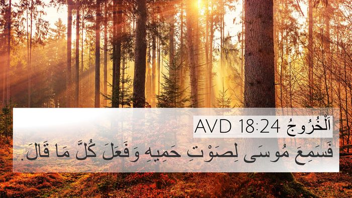 اَلْخُرُوجُ 18:24 AVD 4K Wallpaper - فَسَمِعَ مُوسَى لِصَوْتِ - 4K Wallpaper Bible Verse