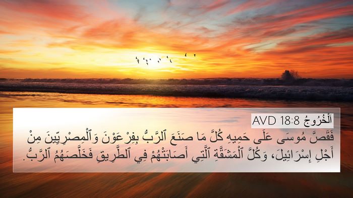 اَلْخُرُوجُ 18:8 AVD 4K Wallpaper - فَقَصَّ مُوسَى عَلَى - 4K Wallpaper Bible Verse