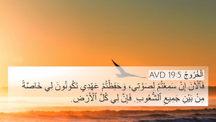 اَلْخُرُوجُ 19:5 AVD Bible Verse Image