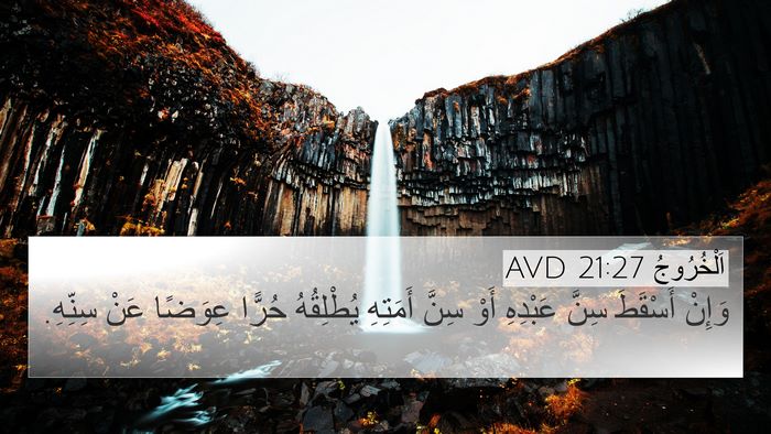 اَلْخُرُوجُ 21:27 AVD 4K Wallpaper - وَإِنْ أَسْقَطَ سِنَّ - 4K Wallpaper Bible Verse