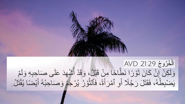 اَلْخُرُوجُ 21:29 AVD Bible Verse Image