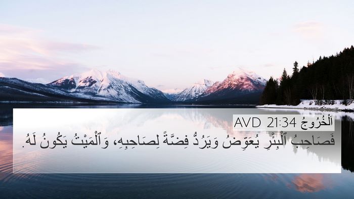اَلْخُرُوجُ 21:34 AVD Bible Verse Image