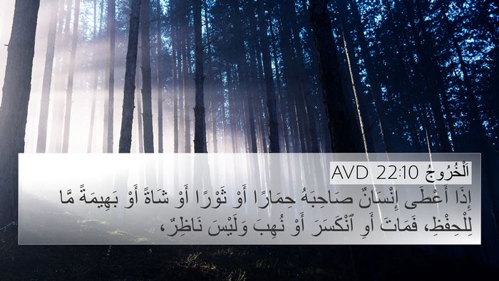 اَلْخُرُوجُ 22:10 AVD 4K Wallpaper - إِذَا أَعْطَى إِنْسَانٌ - 4K Wallpaper Bible Verse
