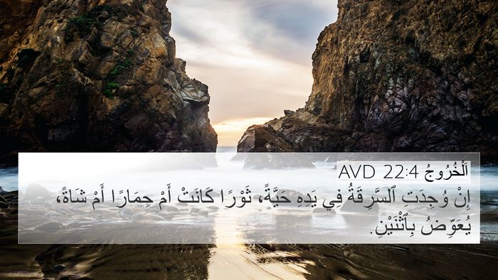اَلْخُرُوجُ 22:4 AVD Bible Verse Image