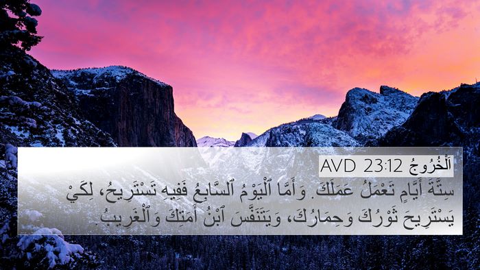 اَلْخُرُوجُ 23:12 AVD Bible Verse Image