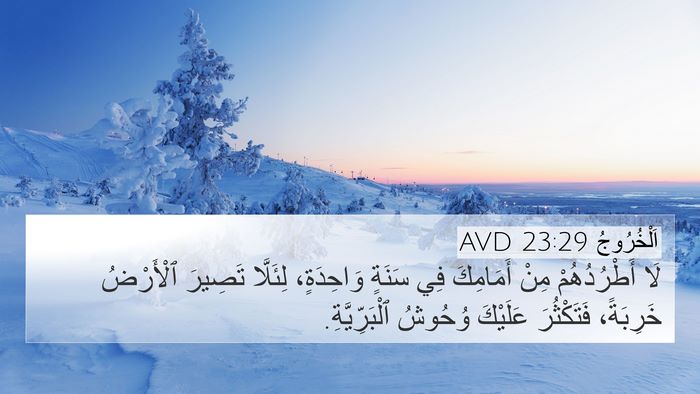 اَلْخُرُوجُ 23:29 AVD 4K Wallpaper - لَا أَطْرُدُهُمْ مِنْ - 4K Wallpaper Bible Verse