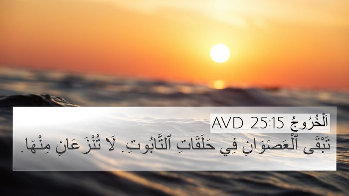 اَلْخُرُوجُ 25:15 AVD Bible Verse Image