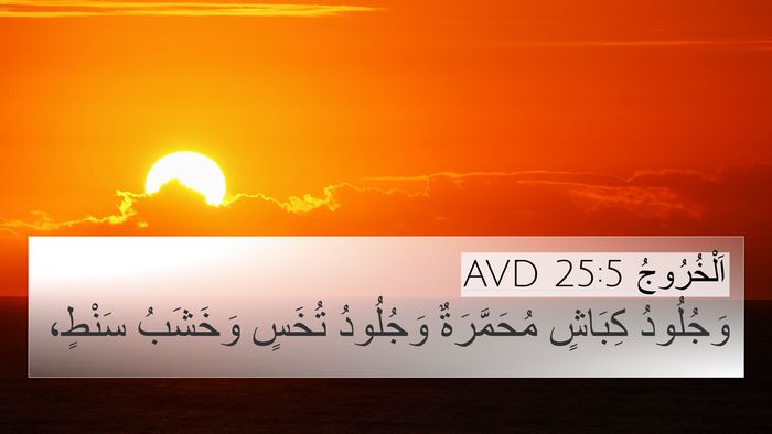 اَلْخُرُوجُ 25:5 AVD Bible Verse Image