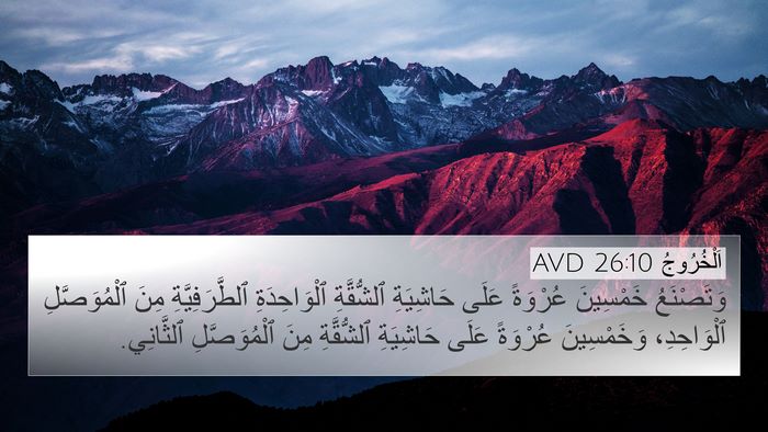 اَلْخُرُوجُ 26:10 AVD Bible Verse Image