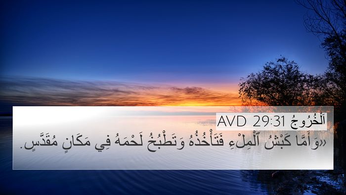اَلْخُرُوجُ 29:31 AVD Bible Verse Image