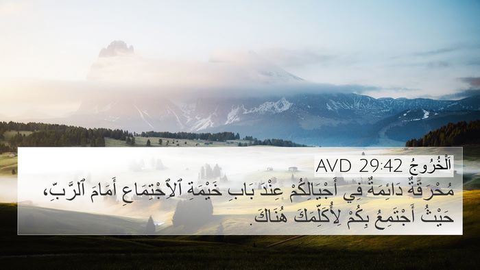 اَلْخُرُوجُ 29:42 AVD Bible Verse Image