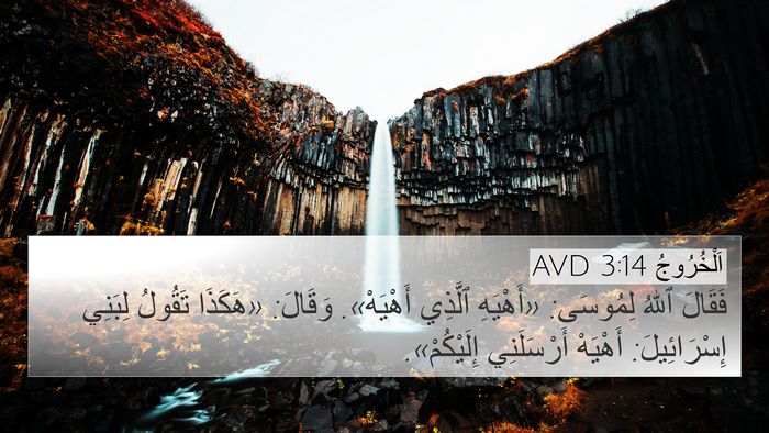 اَلْخُرُوجُ 3:14 AVD Bible Verse Image