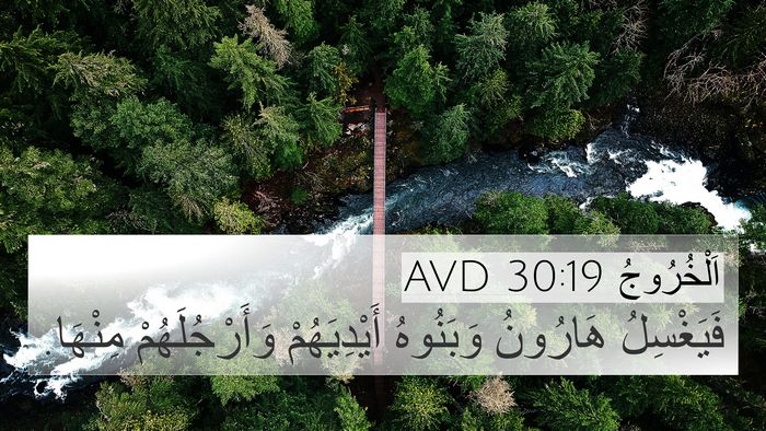 اَلْخُرُوجُ 30:19 AVD Bible Verse Image