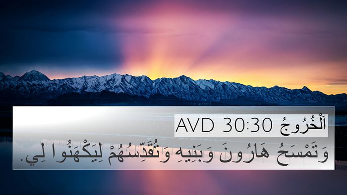 اَلْخُرُوجُ 30:30 AVD Bible Verse Image