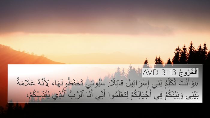 اَلْخُرُوجُ 31:13 AVD Bible Verse Image