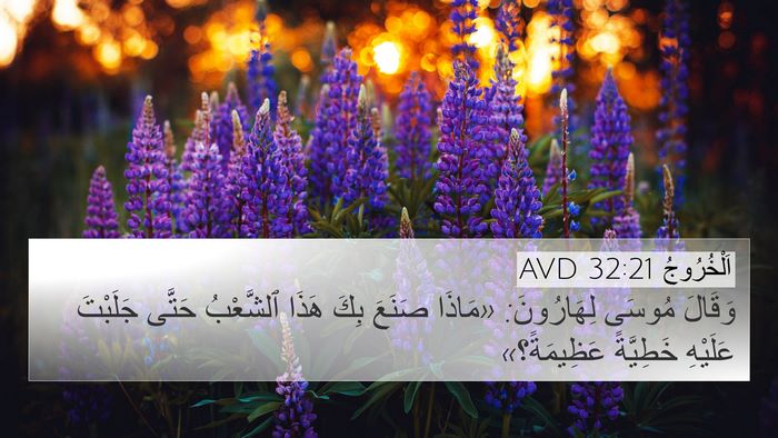 اَلْخُرُوجُ 32:21 AVD Bible Verse Image