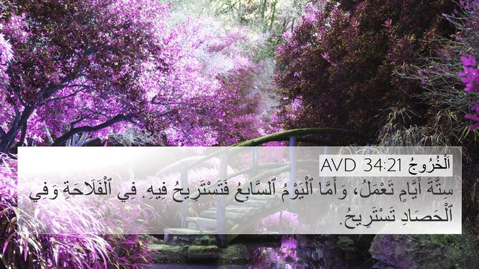 اَلْخُرُوجُ 34:21 AVD Bible Verse Image