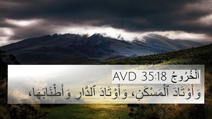 اَلْخُرُوجُ 35:18 AVD Bible Verse Image