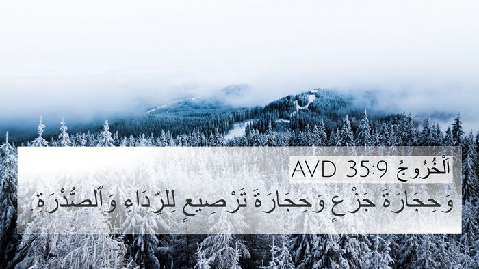 اَلْخُرُوجُ 35:9 AVD 4K Wallpaper - وَحِجَارَةَ جَزْعٍ - 4K Wallpaper Bible Verse