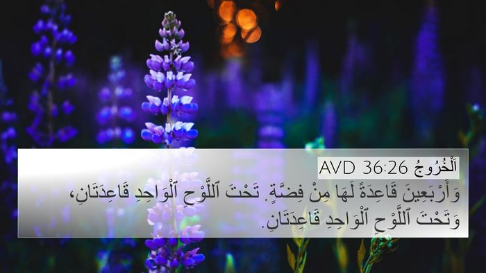 اَلْخُرُوجُ 36:26 AVD 4K Wallpaper - وَأَرْبَعِينَ قَاعِدَةً - 4K Wallpaper Bible Verse