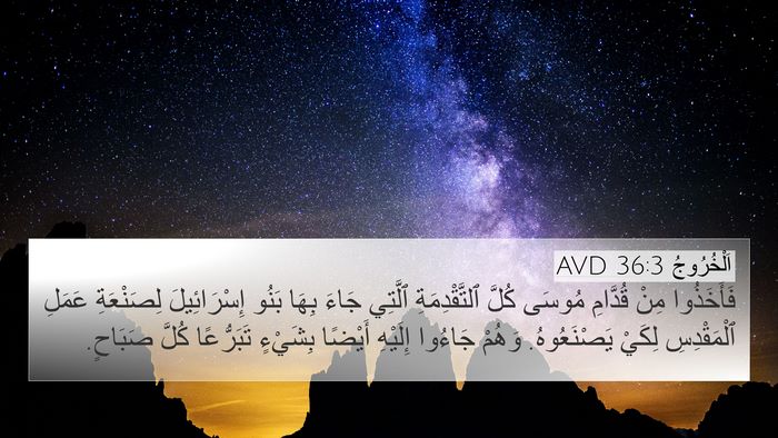 اَلْخُرُوجُ 36:3 AVD Bible Verse Image