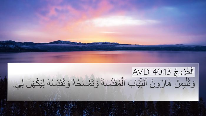 اَلْخُرُوجُ 40:13 AVD Bible Verse Image