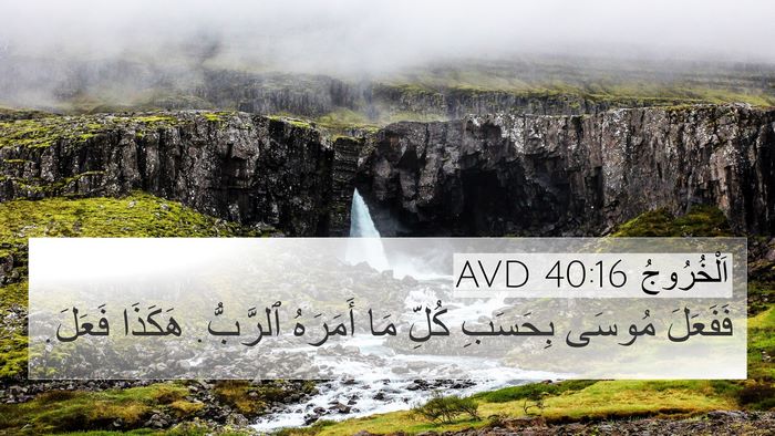 اَلْخُرُوجُ 40:16 AVD Bible Verse Image