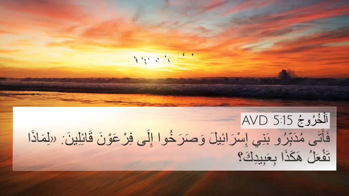 اَلْخُرُوجُ 5:15 AVD 4K Wallpaper - فَأَتَى مُدَبِّرُو بَنِي - 4K Wallpaper Bible Verse