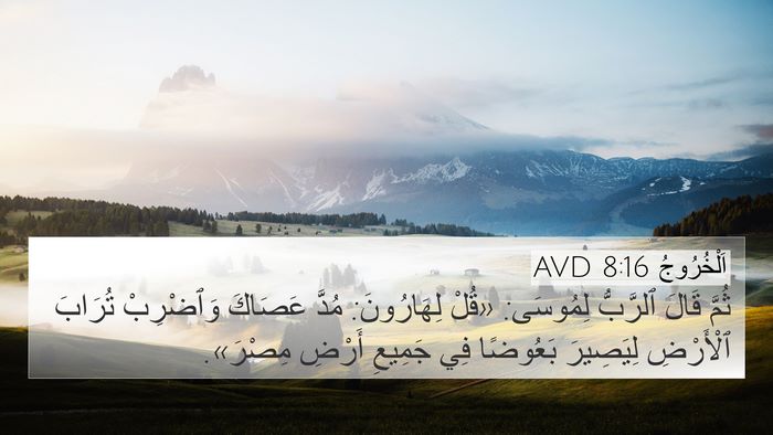 اَلْخُرُوجُ 8:16 AVD 4K Wallpaper - ثُمَّ قَالَ ٱلرَّبُّ - 4K Wallpaper Bible Verse