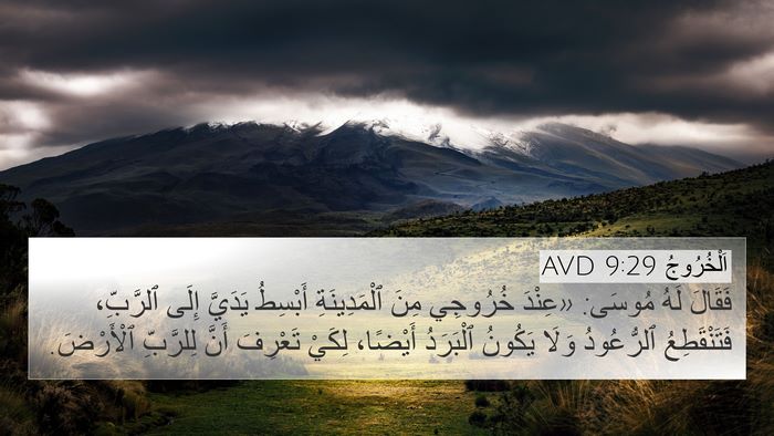 اَلْخُرُوجُ 9:29 AVD Bible Verse Image