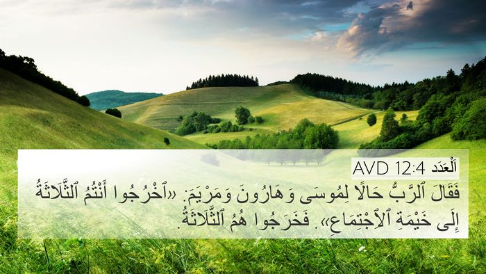 اَلْعَدَد 12:4 AVD 4K Wallpaper - فَقَالَ ٱلرَّبُّ حَالًا - 4K Wallpaper Bible Verse
