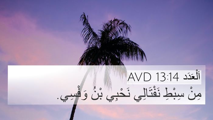 اَلْعَدَد 13:14 AVD 4K Wallpaper - مِنْ سِبْطِ نَفْتَالِي - 4K Wallpaper Bible Verse