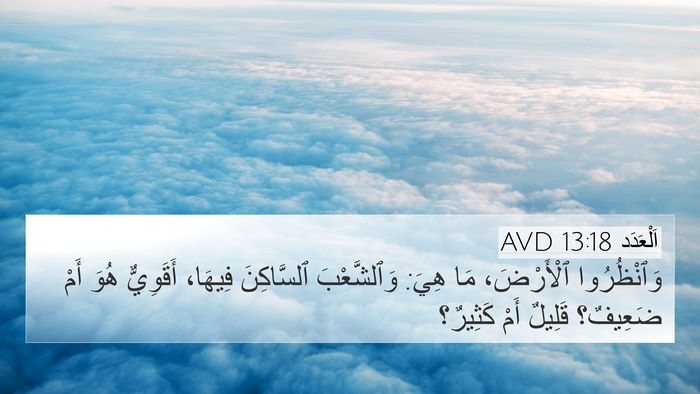 اَلْعَدَد 13:18 AVD 4K Wallpaper - وَٱنْظُرُوا ٱلْأَرْضَ، - 4K Wallpaper Bible Verse