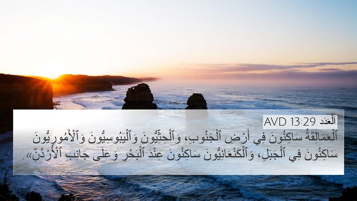 اَلْعَدَد 13:29 AVD Bible Verse Image