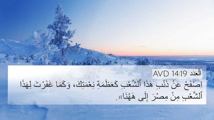 اَلْعَدَد 14:19 AVD 4K Wallpaper - اِصْفَحْ عَنْ ذَنْبِ هَذَا - 4K Wallpaper Bible Verse