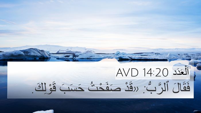اَلْعَدَد 14:20 AVD Bible Verse Image