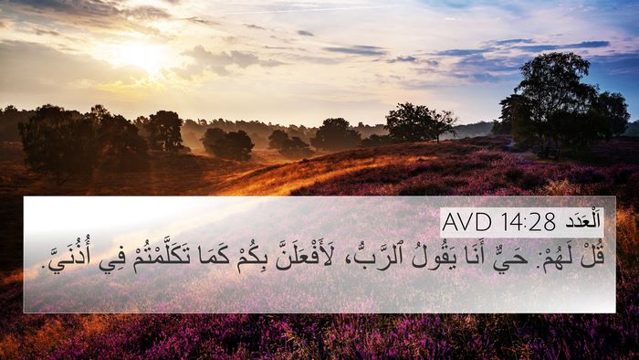 اَلْعَدَد 14:28 AVD Bible Verse Image