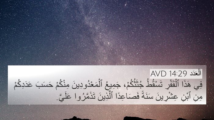 اَلْعَدَد 14:29 AVD Bible Verse Image