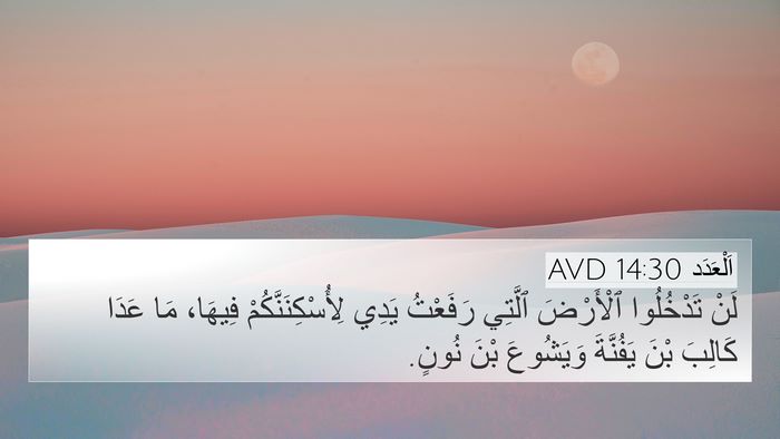 اَلْعَدَد 14:30 AVD Bible Verse Image