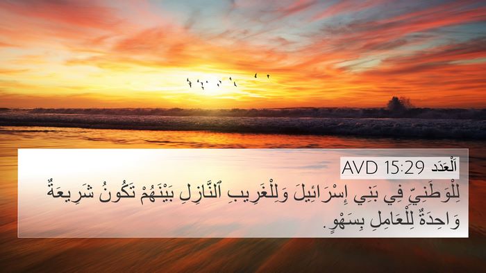 اَلْعَدَد 15:29 AVD Bible Verse Image