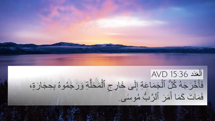 اَلْعَدَد 15:36 AVD Bible Verse Image