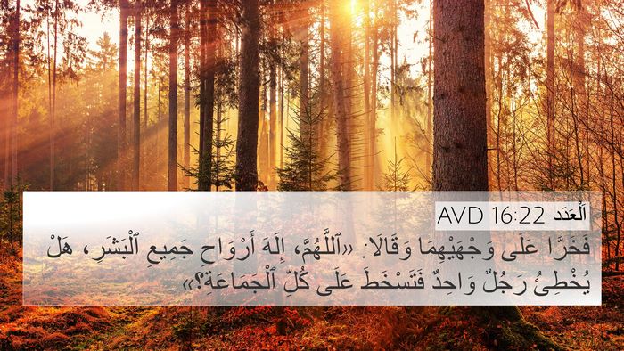 اَلْعَدَد 16:22 AVD Bible Verse Image
