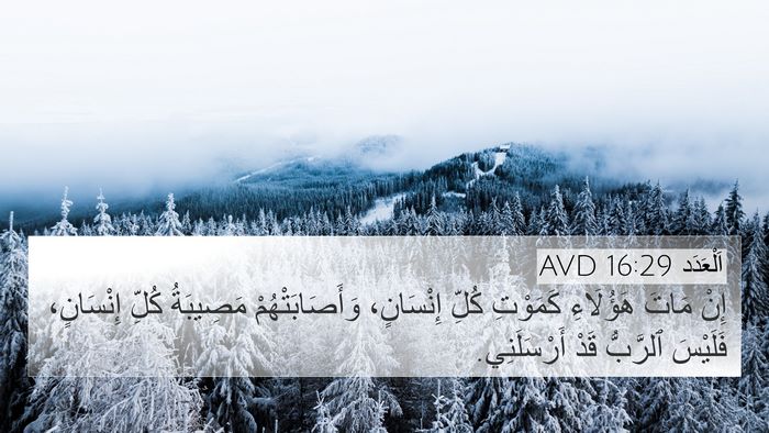 اَلْعَدَد 16:29 AVD Bible Verse Image