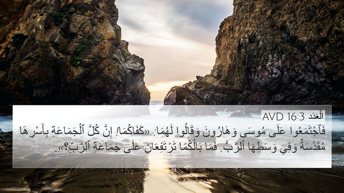 اَلْعَدَد 16:3 AVD Bible Verse Image