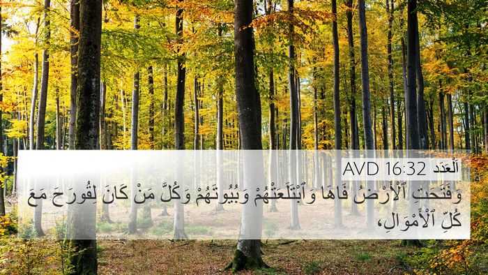اَلْعَدَد 16:32 AVD Bible Verse Image