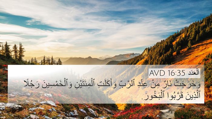 اَلْعَدَد 16:35 AVD Bible Verse Image
