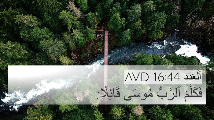 اَلْعَدَد 16:44 AVD Bible Verse Image